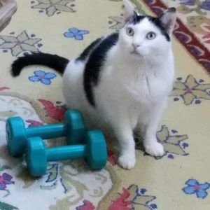 Meet your Posher, Doreen